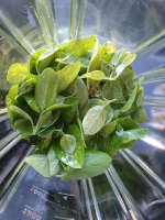 Noix de cajou et basilic dans le mixer